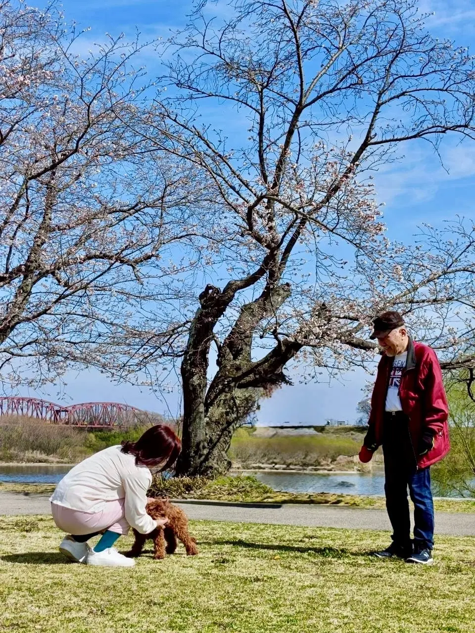 ときめく散歩道の画像_8