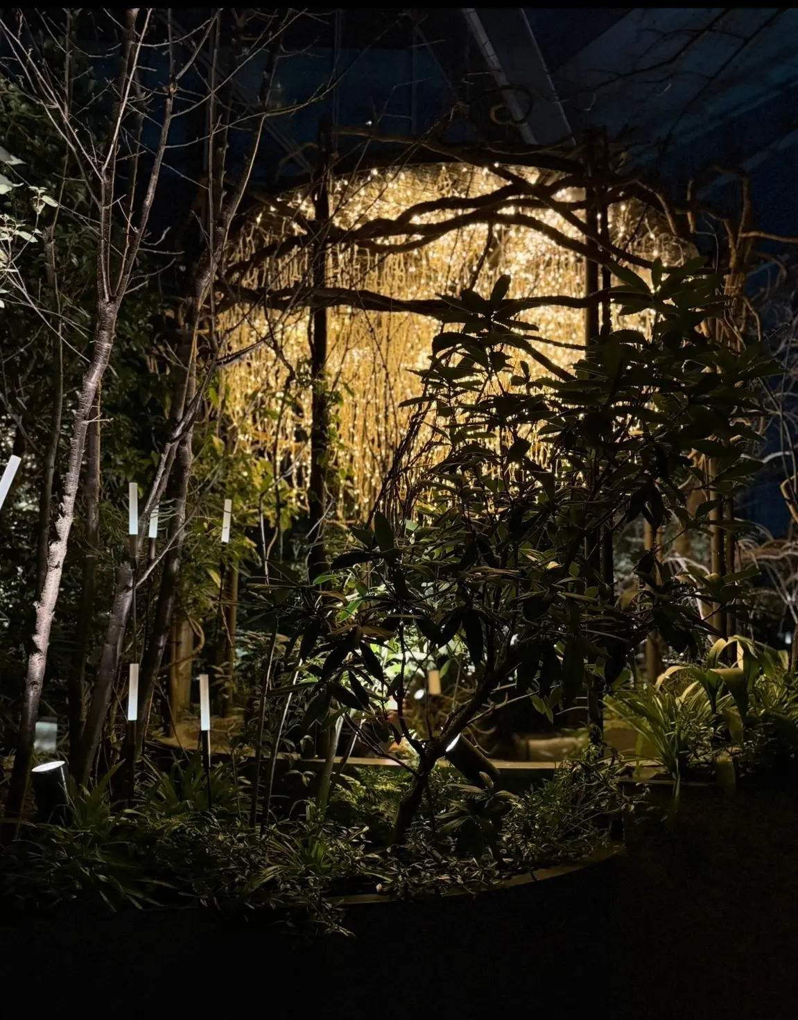 NEWoMan高輪28階の空中庭園は美しの画像_7