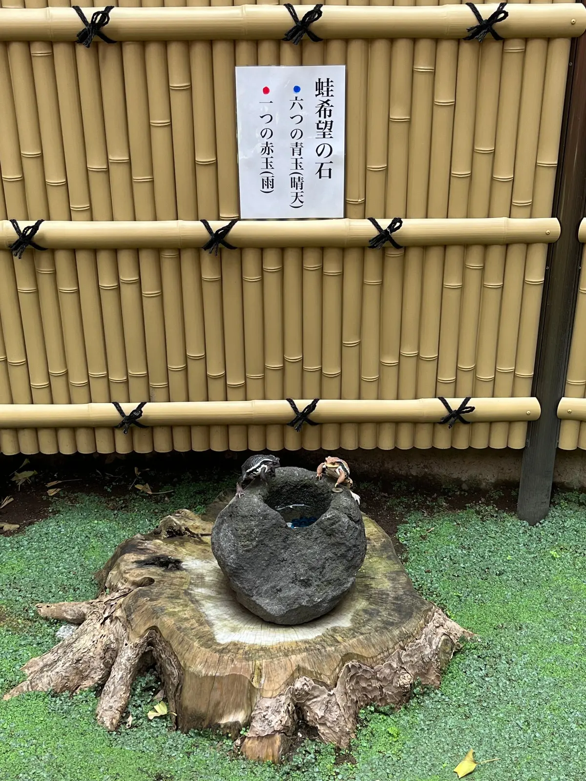 竹垣に囲まれた庭園の一角。中央には、切り株の上に置かれた盆石があり、盆石の中には水が張られている。竹垣には、日本語の解説書きが掲示されている。