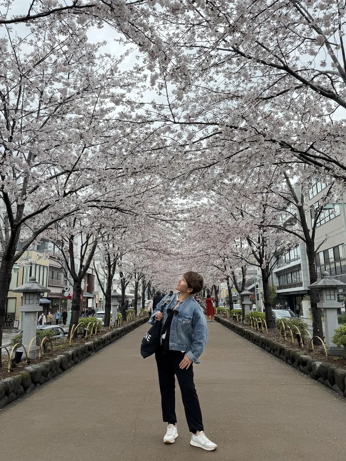 鎌倉でパフェ迷子になるくらいなら、この２の画像_2