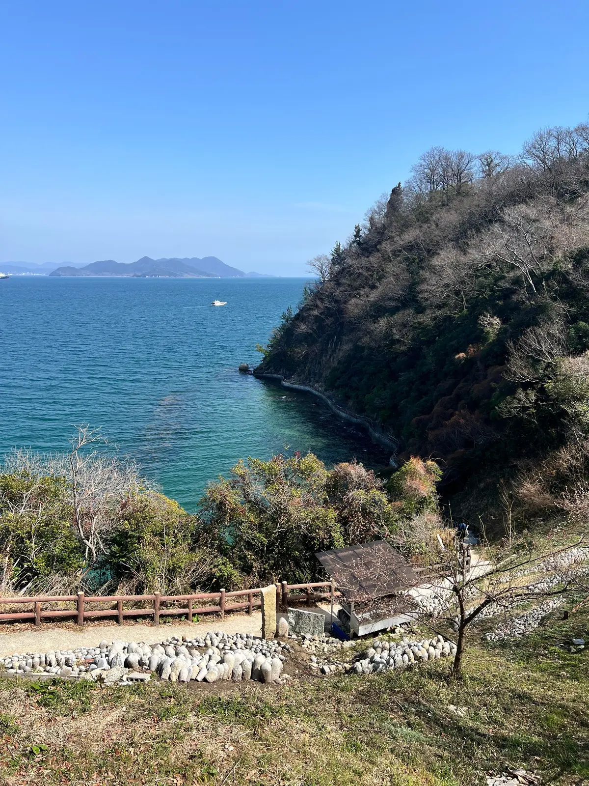 UNIQLOバレルパンツで河津桜、春の大の画像_7