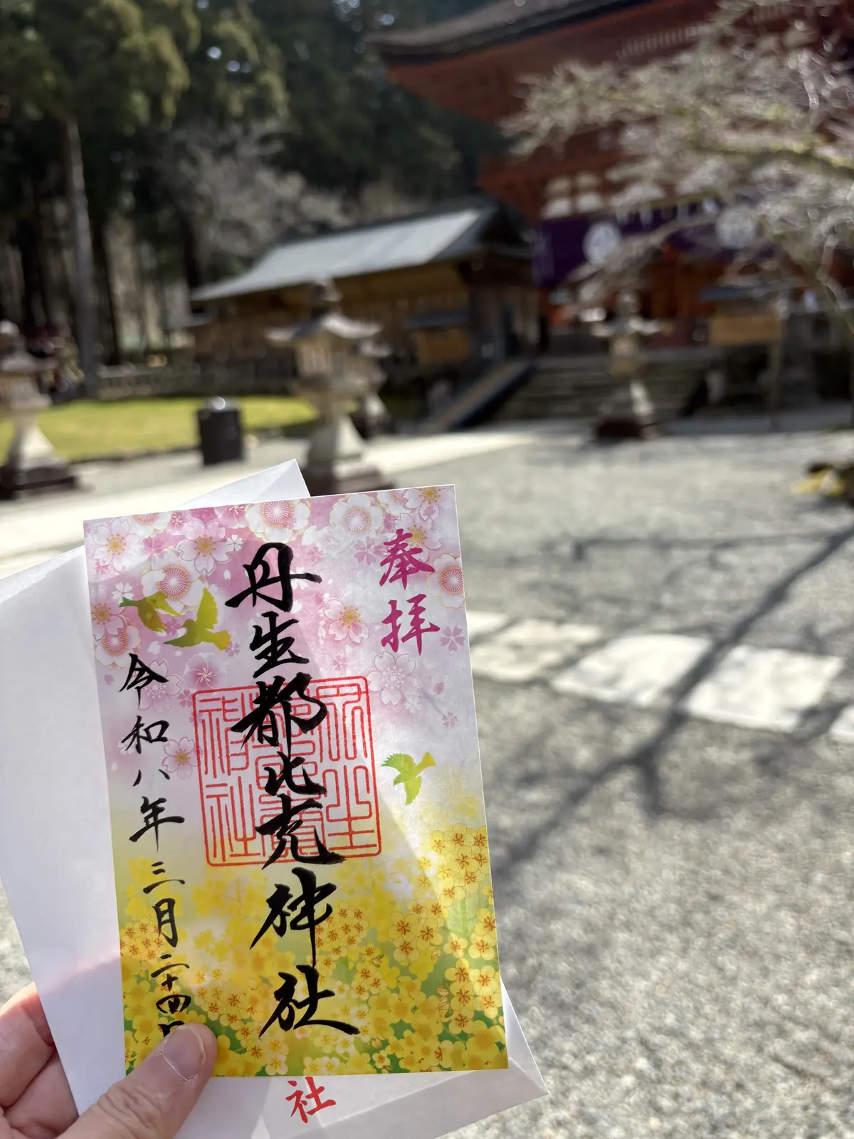 「人生で一度は叶えたいことを、大人になっの画像_3