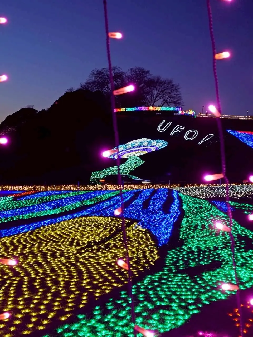 東京ドイツ村のイルミネーション　✨️キラの画像_19