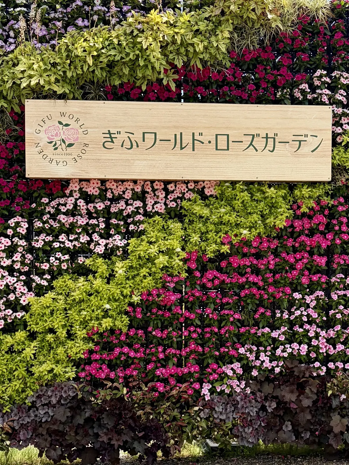 薔薇の楽園。ぎふワールド・ローズガーデンの画像_2