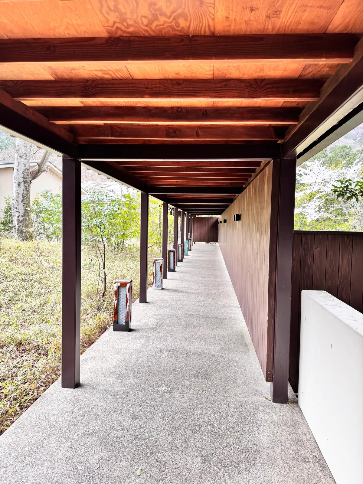 星野リゾート界・鬼怒川 | 桜を楽しむ露の画像_14