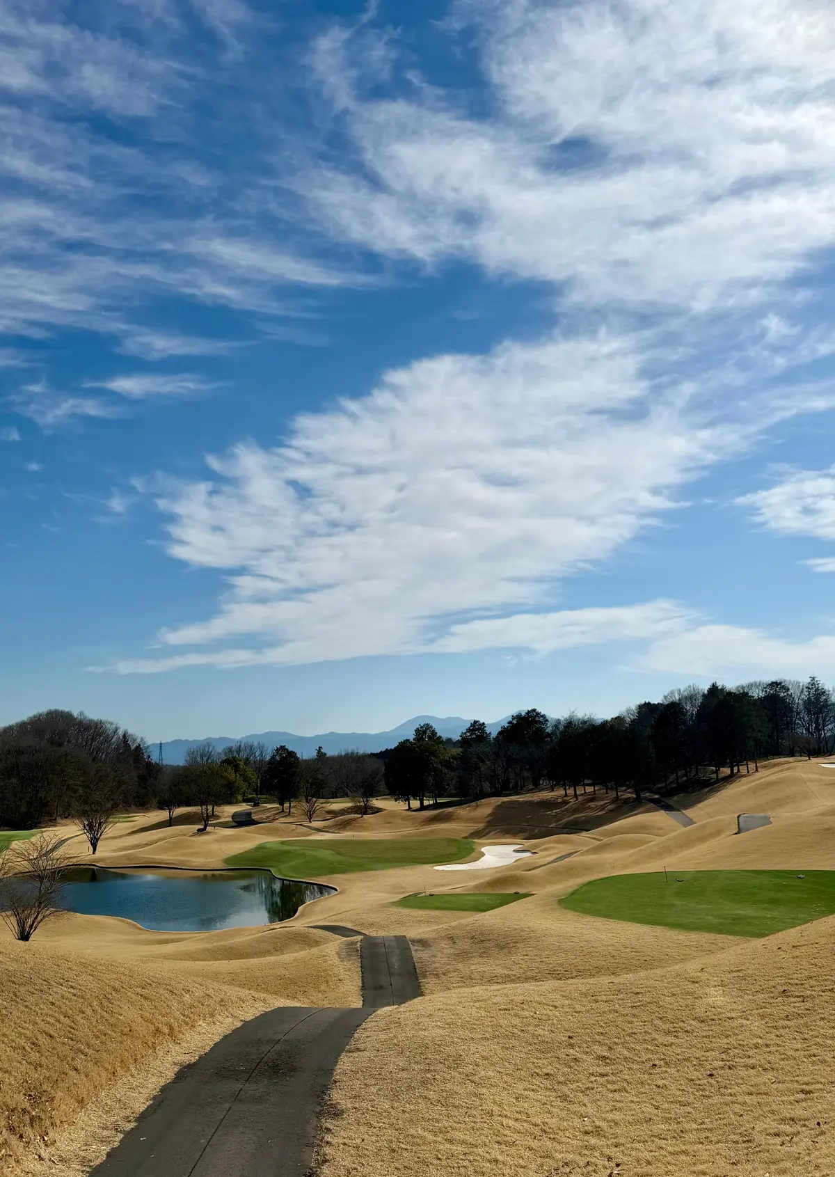THE CLUB golf villagの画像_1