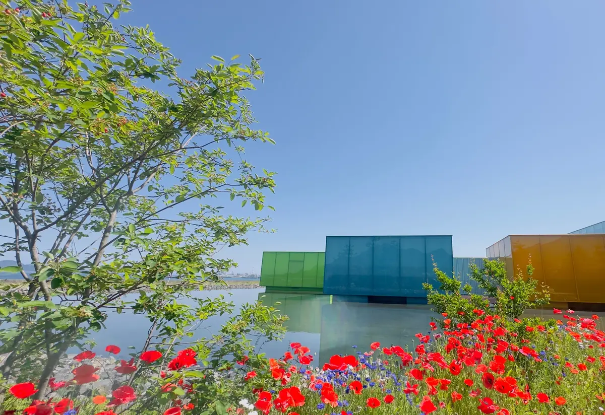 水辺に面したモダンな建物群と赤いポピーの花が広がる風景