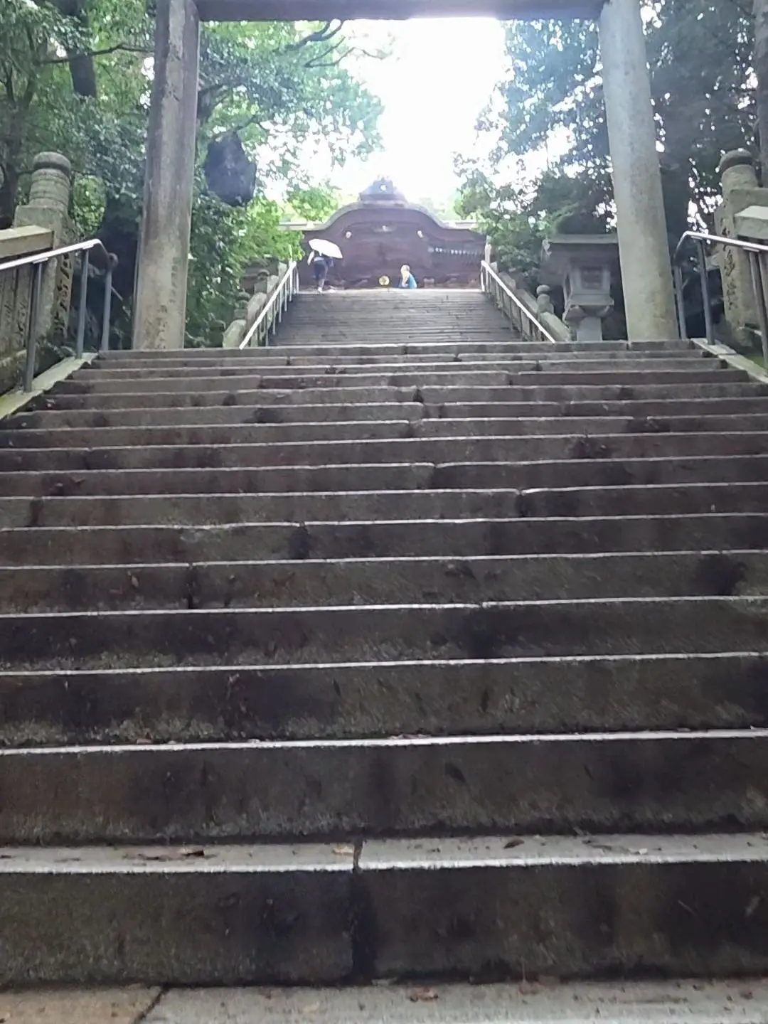 石造りの長い階段が、緑豊かな木々の間の鳥居へと続いています。階段には苔が生え、上の方に人物が見えます。