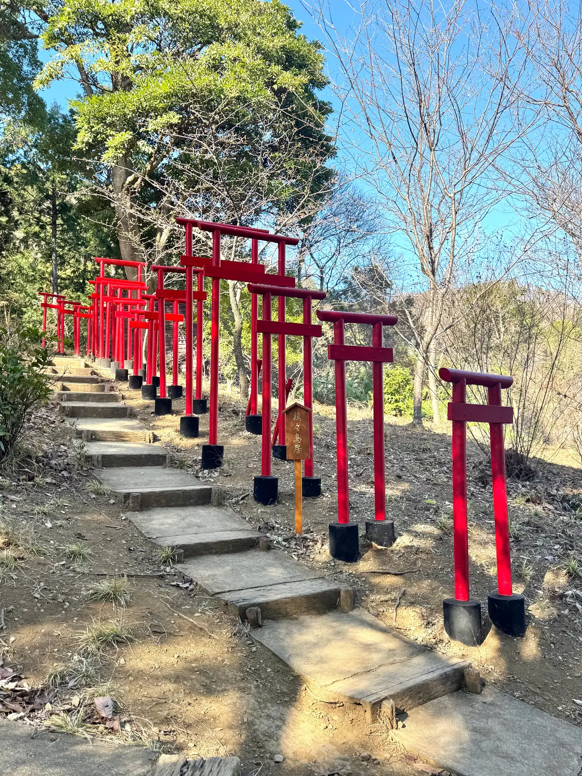 202601 アカオフォレスト 04