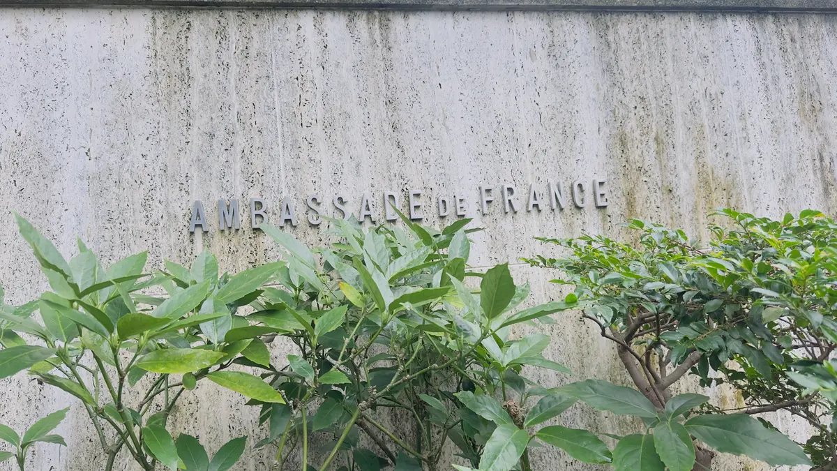 灰色のコンクリート壁に「AMBASSADE DE FRANCE」の文字が刻まれている。手前には緑の葉が茂り、文字の一部を隠している。
