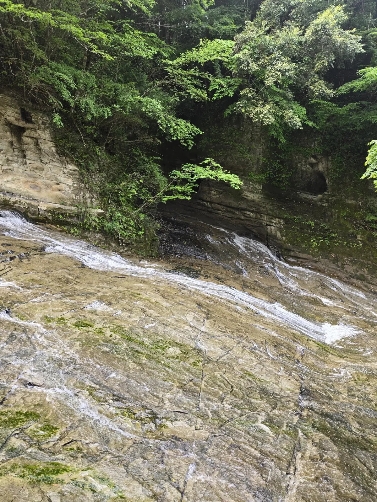 【ちばTrip】粟又の滝と湖畔を臨む絶品の画像_9