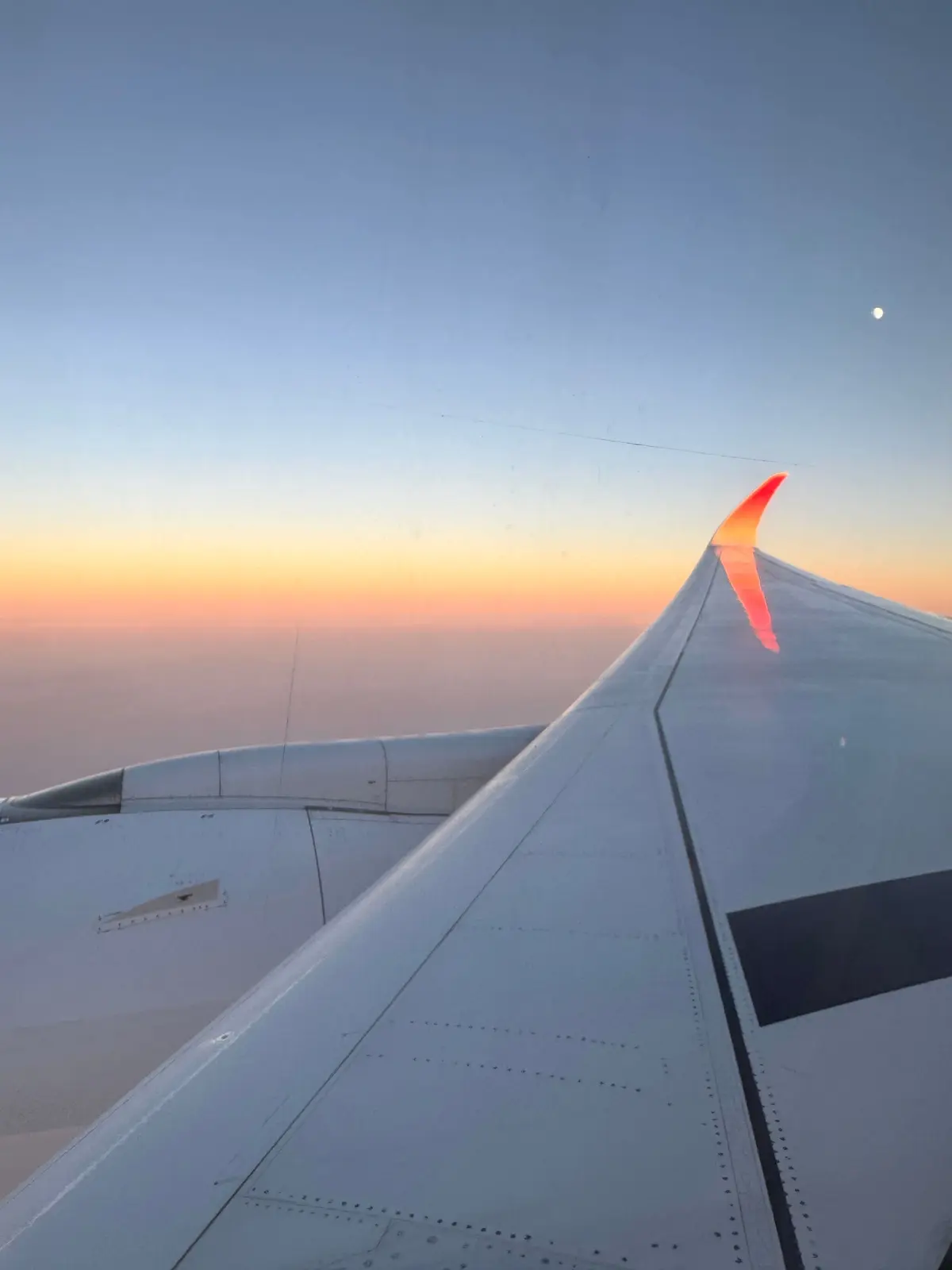 飛行機