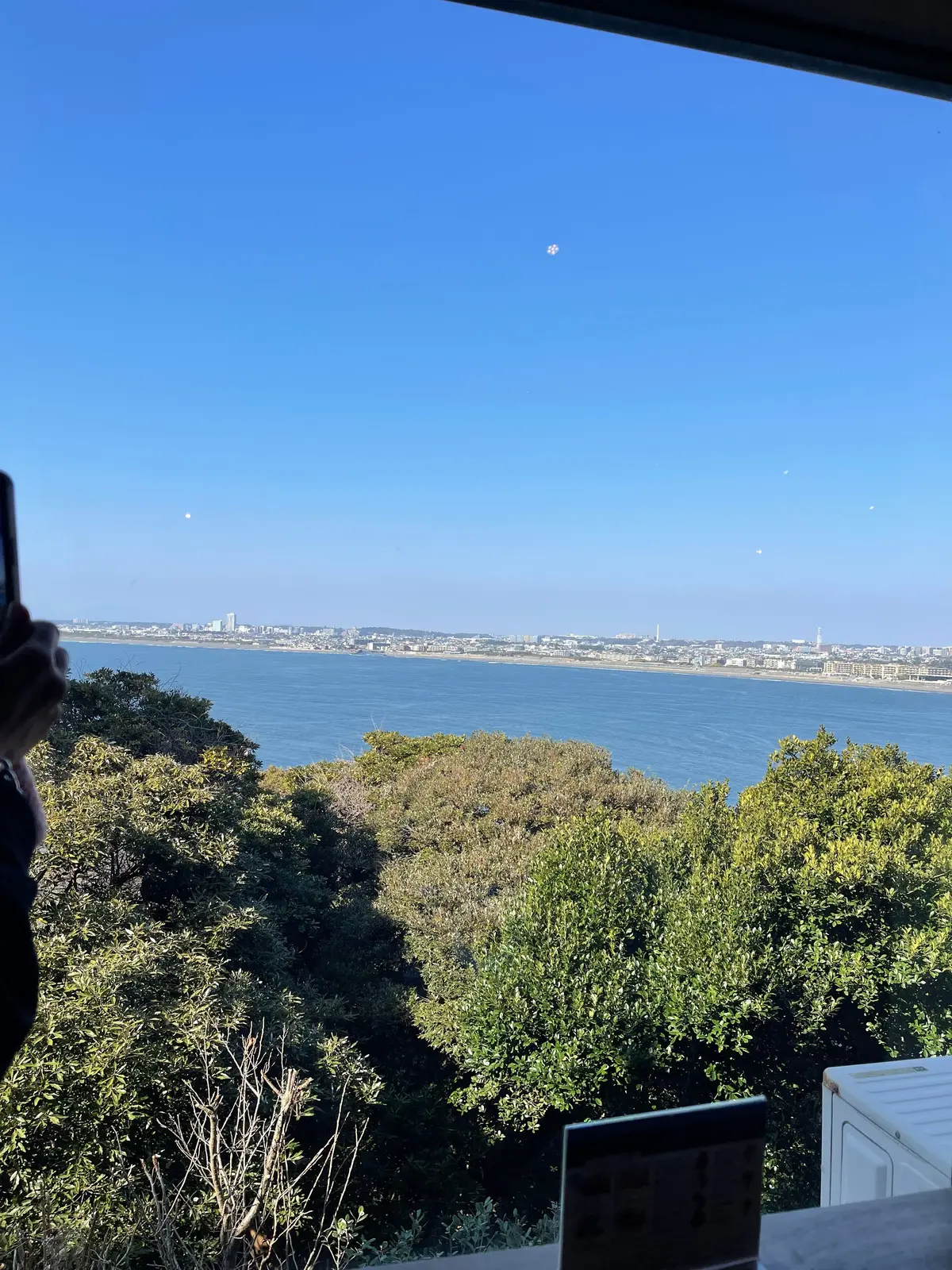 春の訪れを楽しむ🌸桜ピンクのスカートコーの画像_8