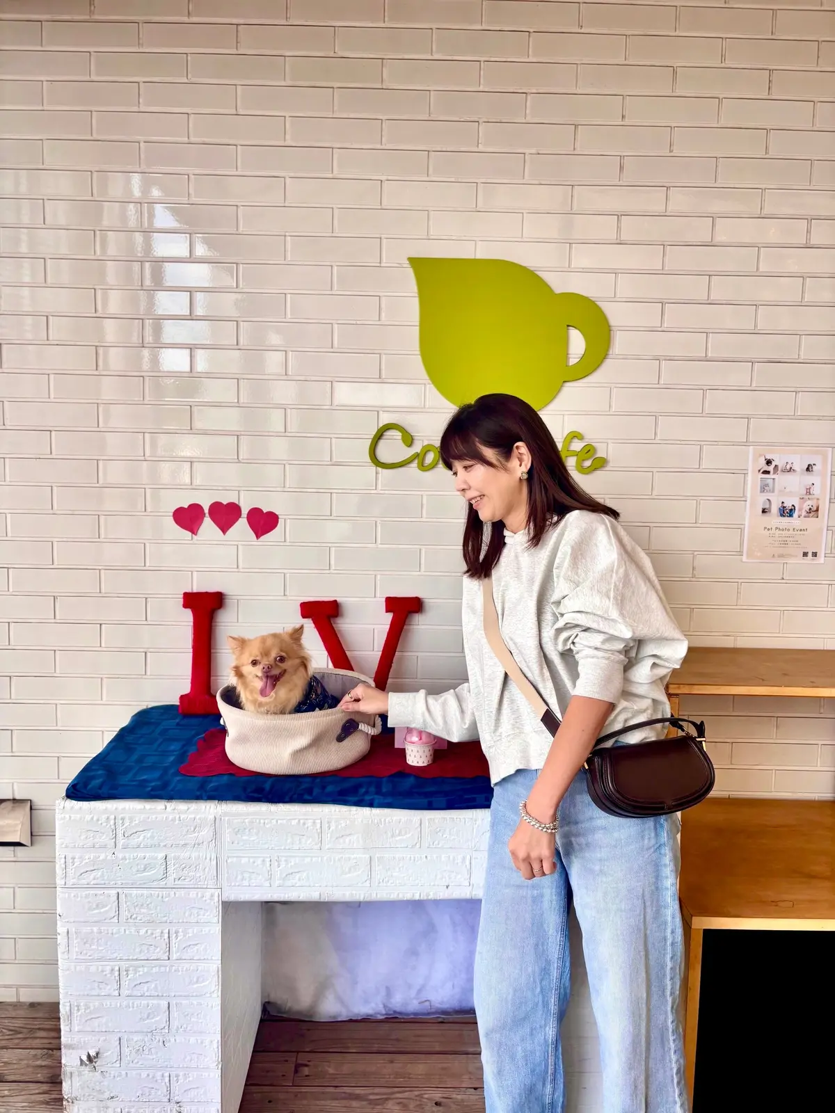 千葉へわんことおでかけ。ピクニックも楽しの画像_6