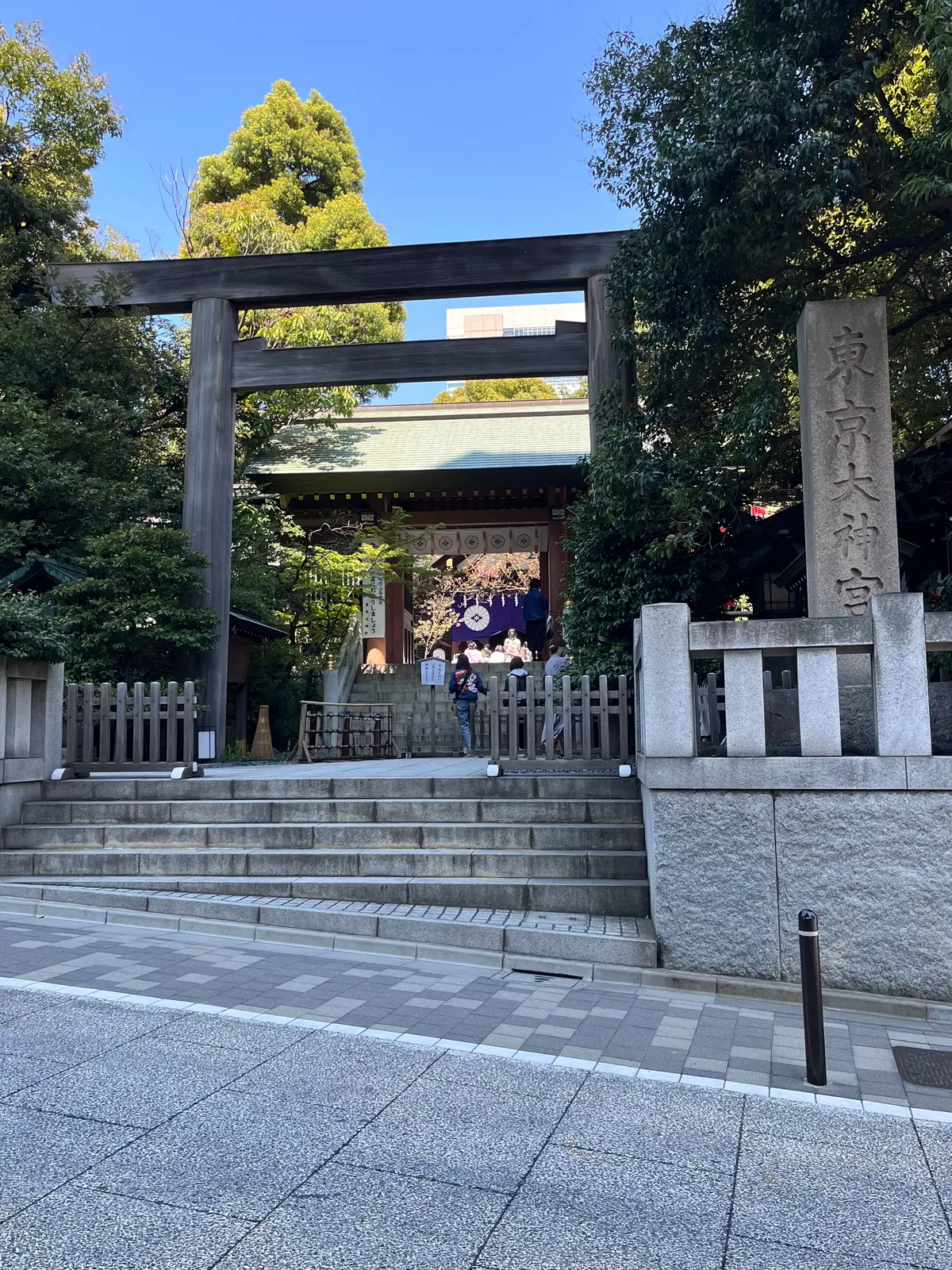 散ってしまう前にもう1回お花見🌸を♪の画像_7