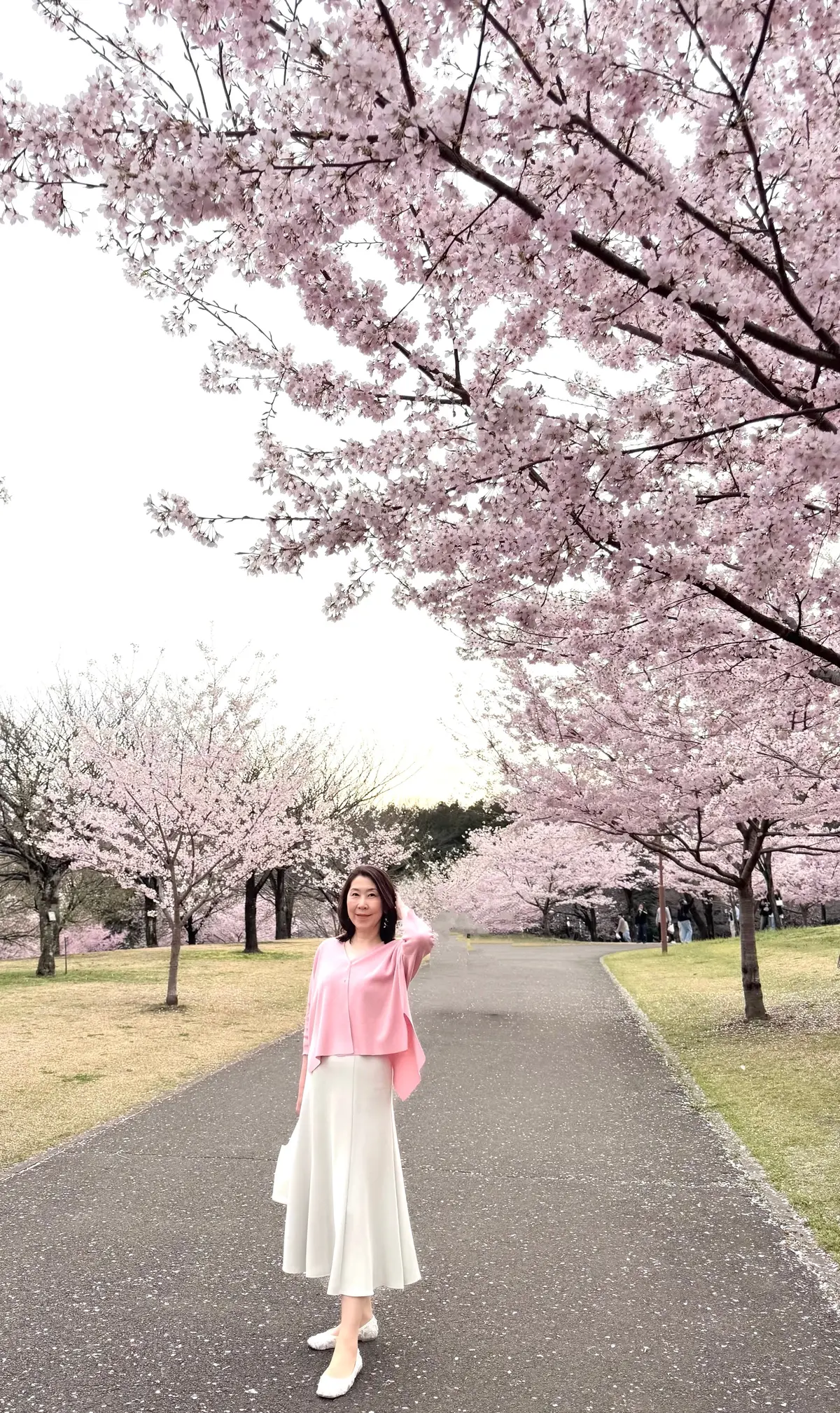 赤城南面千本桜