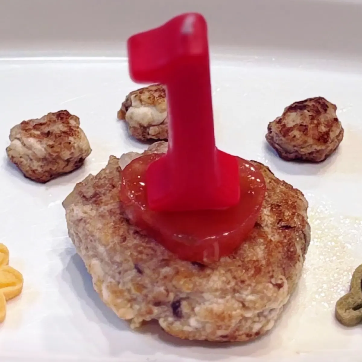 肉球ハンバーグ 犬 手作り ハンバーグ ペット ヘルシー バースデープレート 1歳