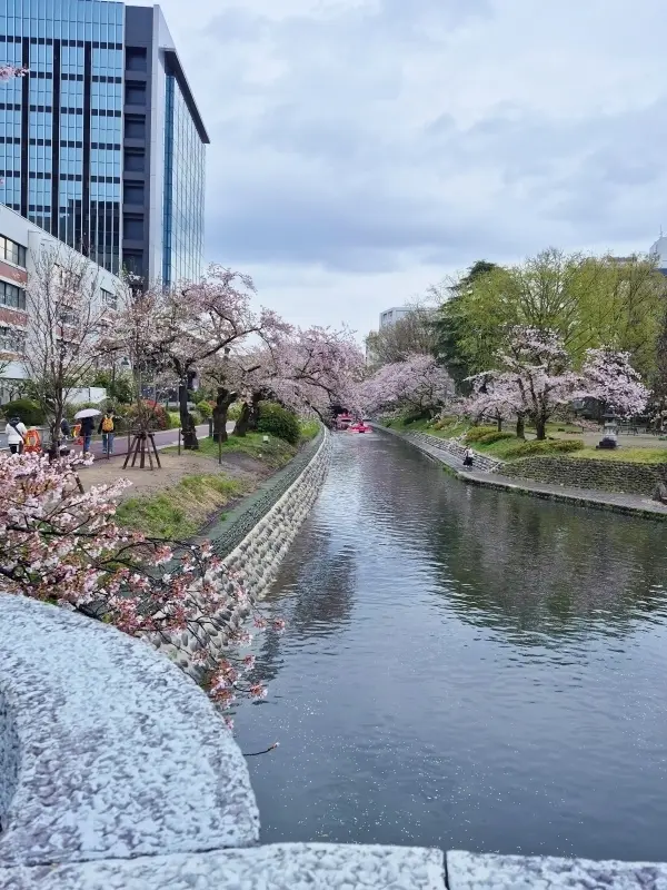 【富山・春旅】Vol.3雨の中「国宝・瑞の画像_9