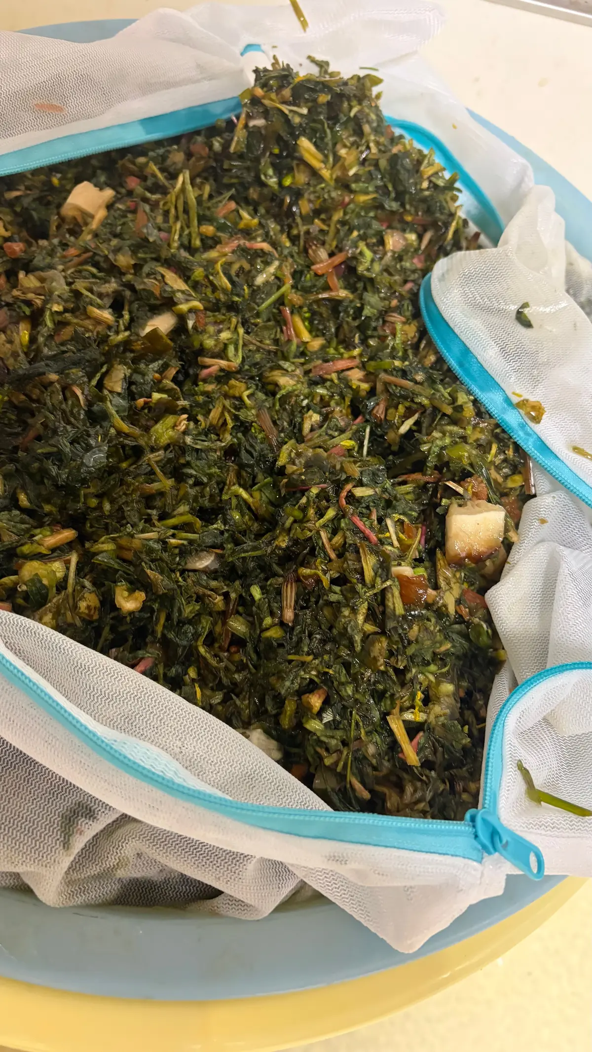 春のエネルギーを凝縮！野草で仕込む「春のの画像_12