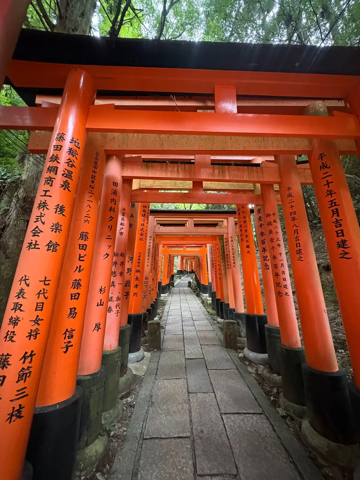 鮮やかな朱色の鳥居が連なる長いトンネル。石畳の道が奥へと続いており、緑豊かな木々に囲まれている。鳥居には日本語の文字が刻まれている。