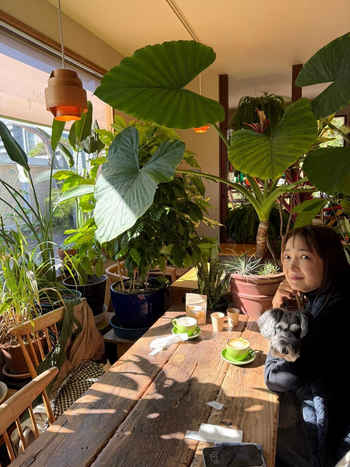 カフェのテーブル席で、女性が小型犬を抱き、コーヒーを飲んでいる様子。背後には大きな観葉植物が並び、窓から光が差し込んでいる。