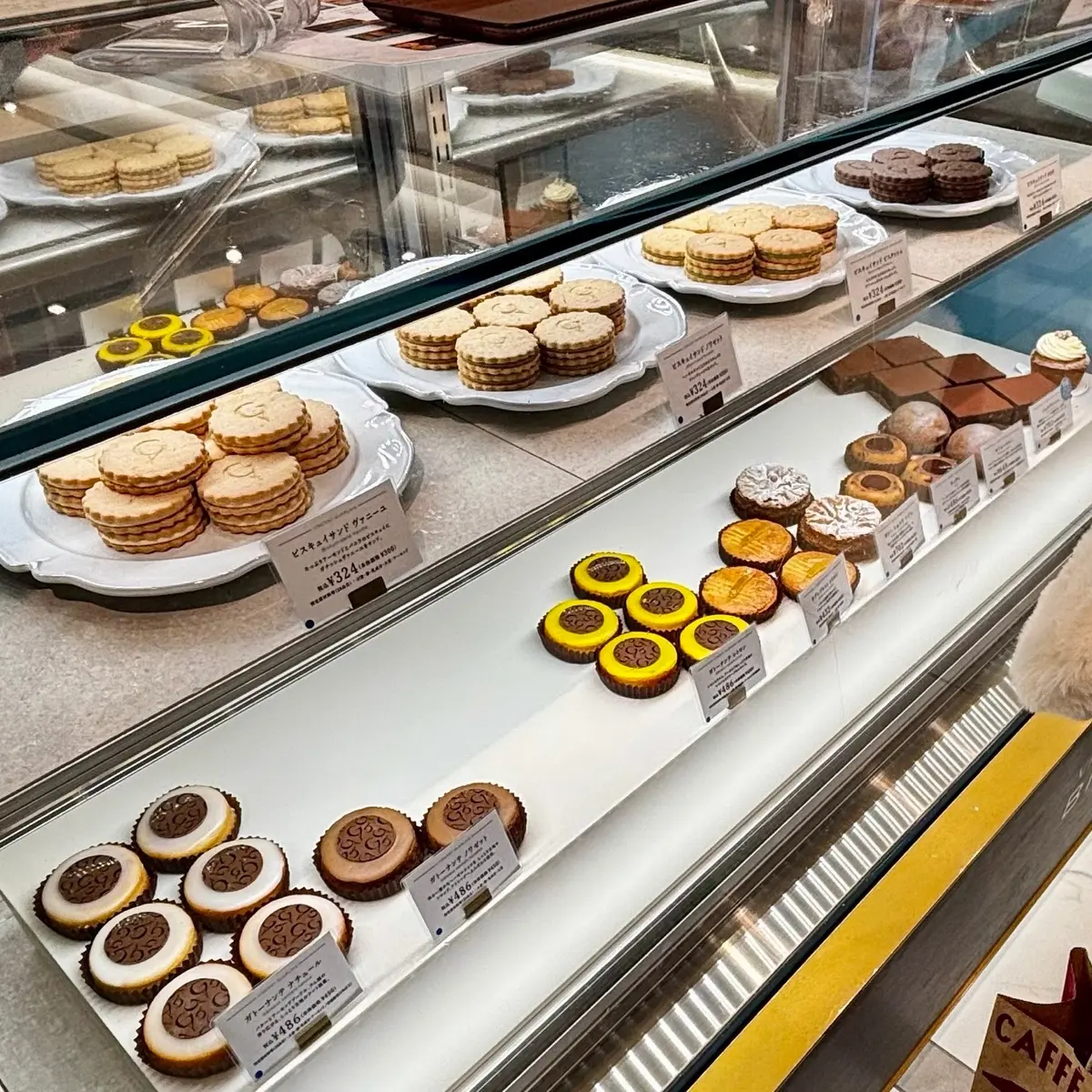 Vincent Guerlais BISCUITS Francaisのショーケース