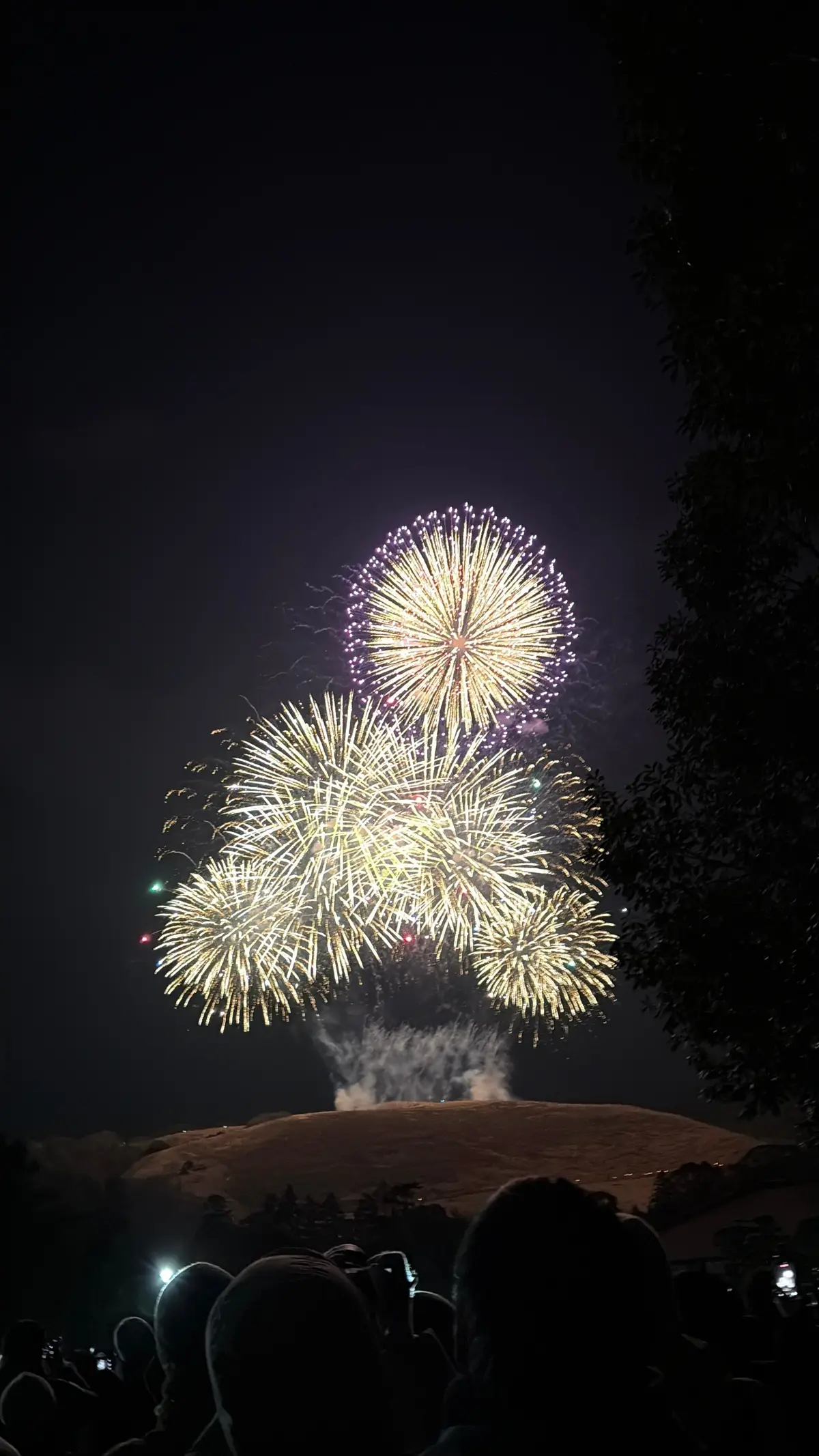 若草山焼き。冬の奈良に灯る、特別な夜の画像_9