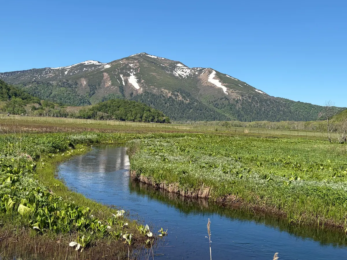 雪を頂く山と緑の湿地帯が広がる風光明媚な風景