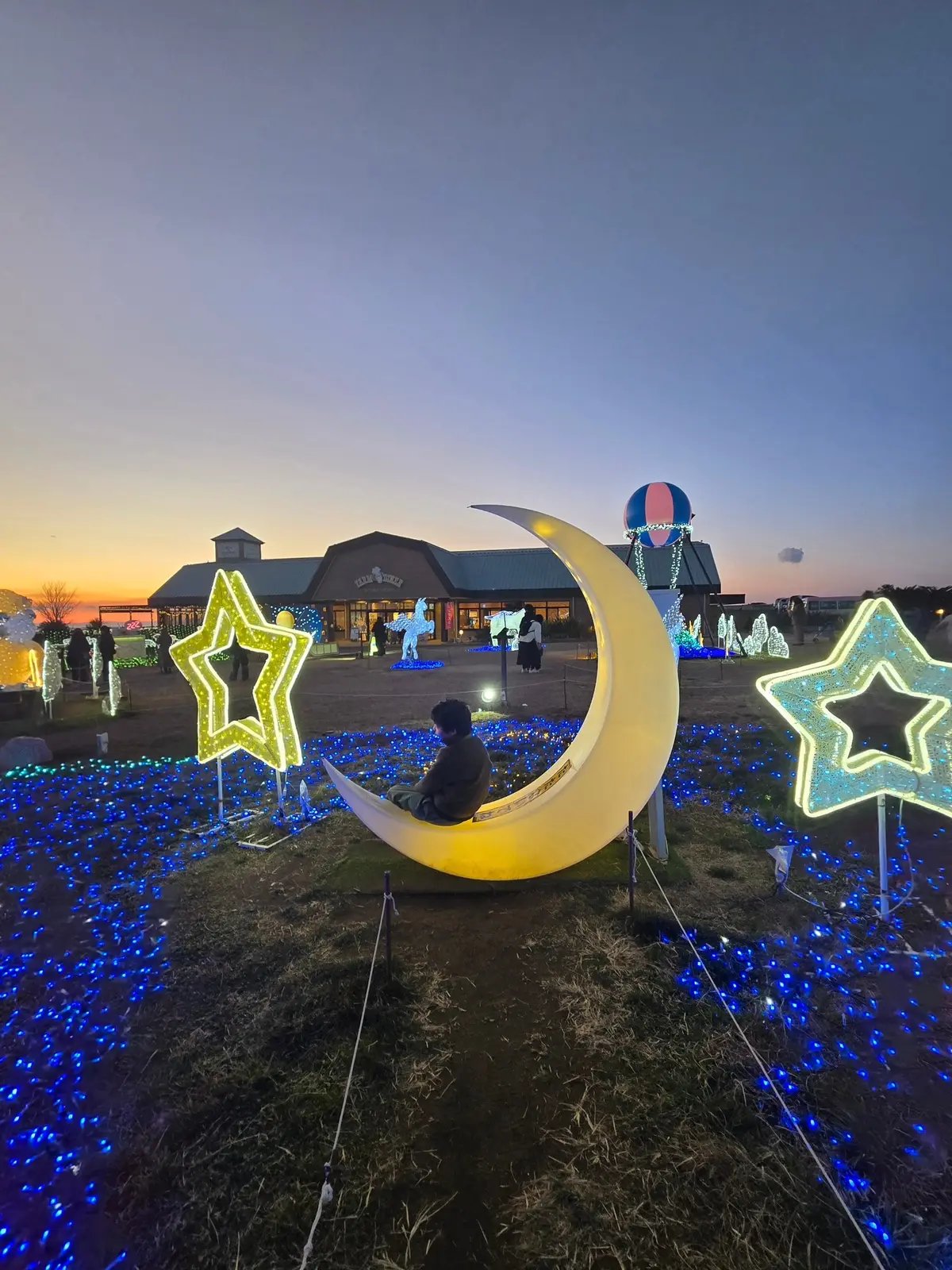 今の時期ならでは！菜の花とイルミネーショの画像_16