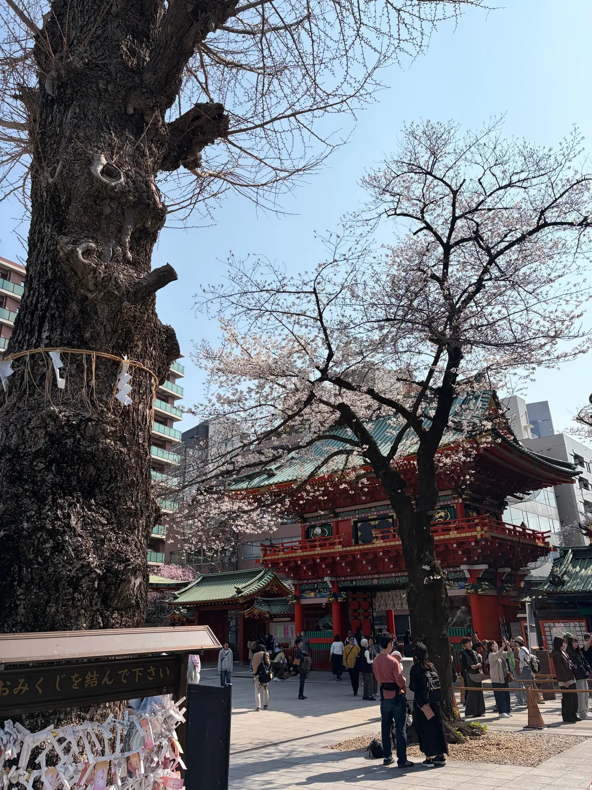 【50代夫婦の休日】　グランプリを制したの画像_7