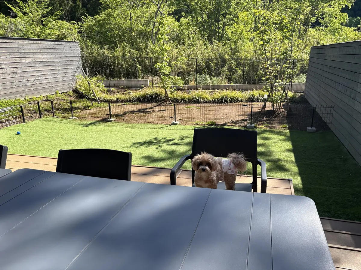 【GW】日光にワンコと家族旅行！犬と気兼の画像_7