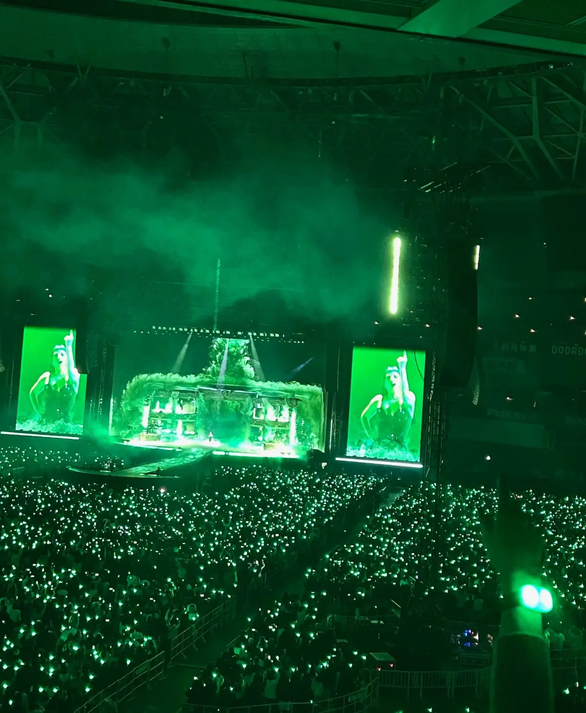 感動と興奮のLady GagaのLiveの画像_5