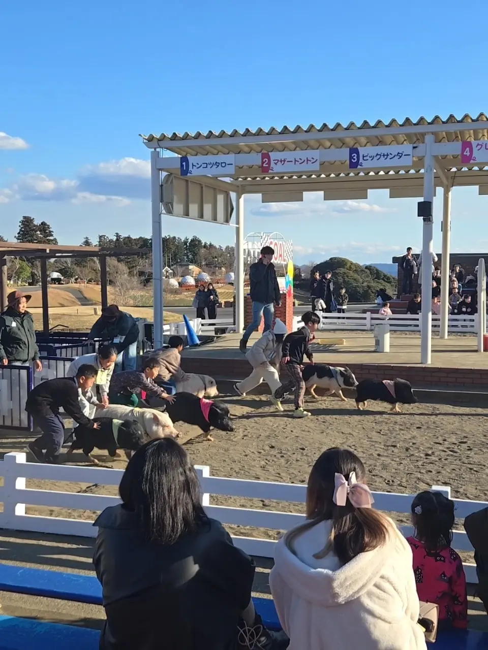 今の時期ならでは！菜の花とイルミネーショの画像_6