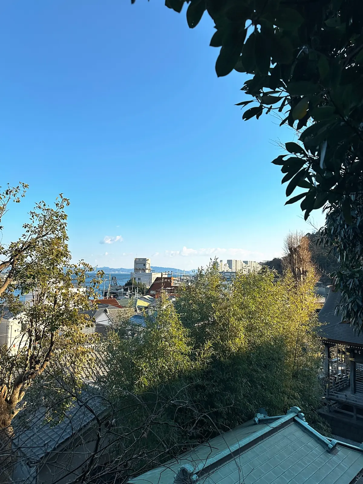 私を整える時間 - 横須賀の神社巡りと英の画像_2