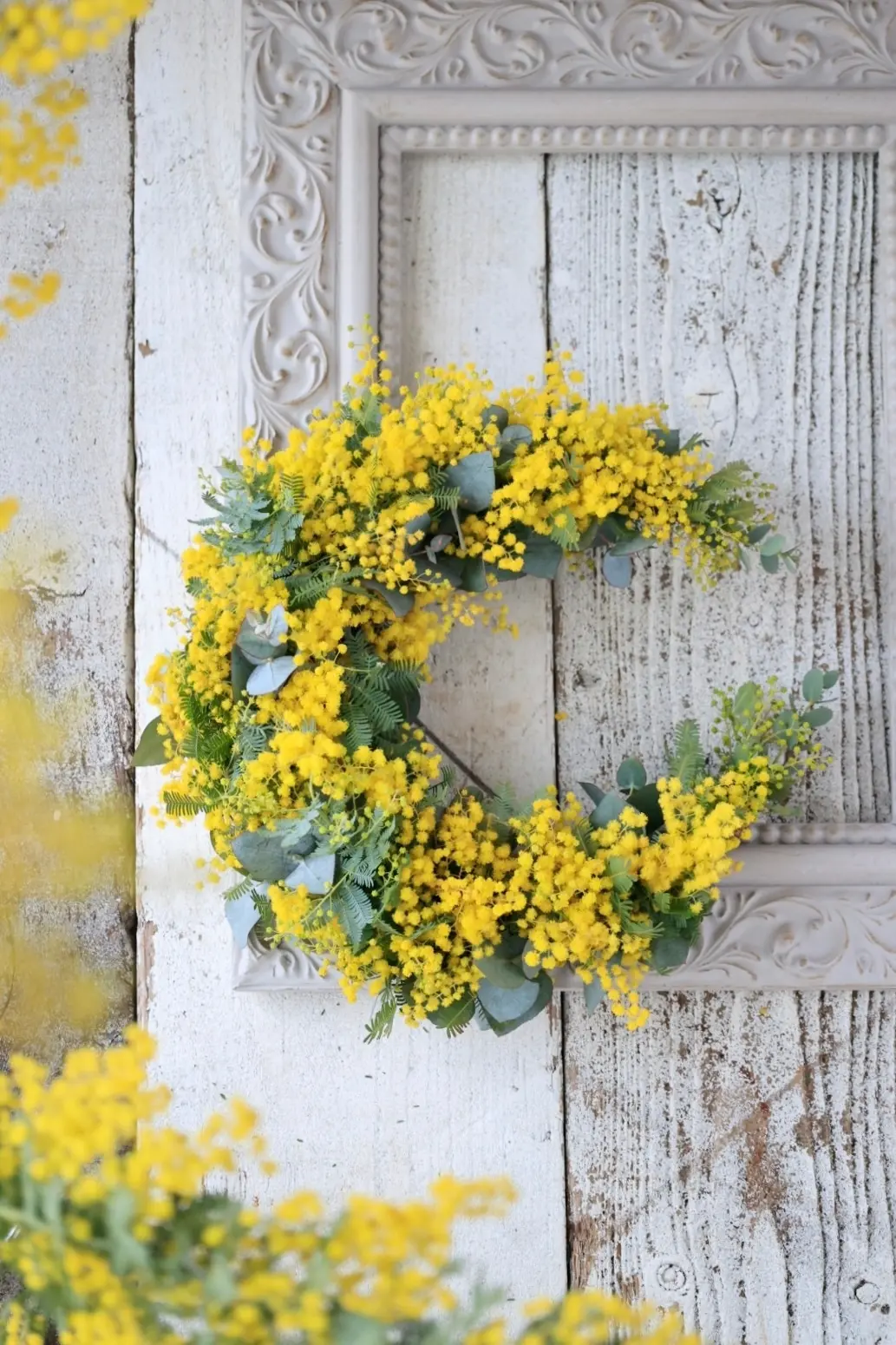 ミモザ　ミモザ国際女性デー　　花瓶　飾り方 ミモザのブーケ　 銀葉アカシア　