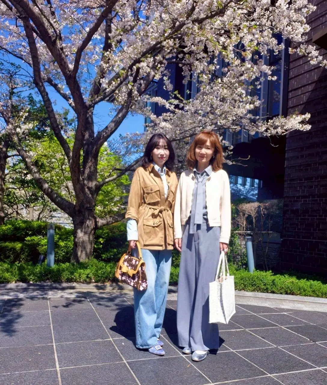 散ってしまう前にもう1回お花見🌸を♪の画像_3