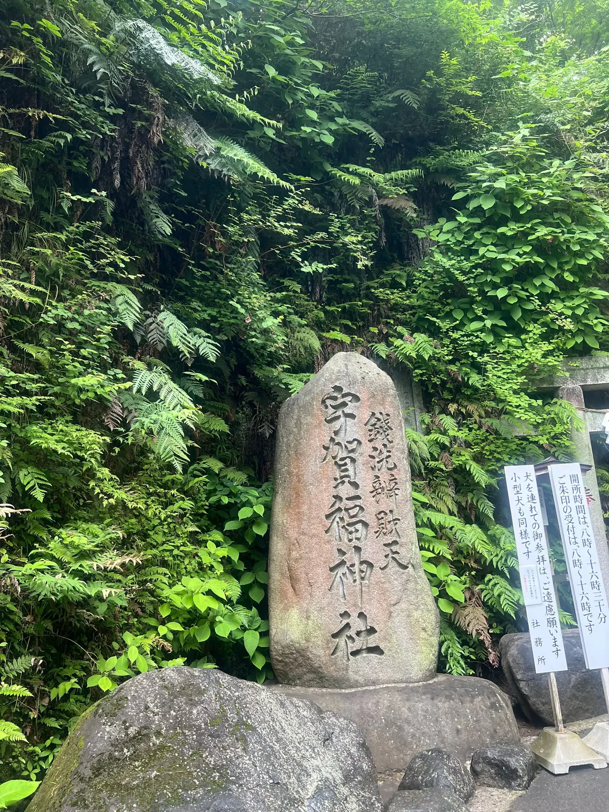 緑豊かな森の中に石碑が立ち、石碑には「石川県立自然公園」の文字が刻まれている。