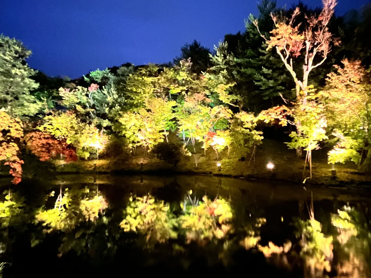 夜の池のほとりに並ぶ木々が、カラフルなライトアップで照らされている様子。水面に木々の光が反射し、幻想的な雰囲気を醸し出している。背景は濃い青空。