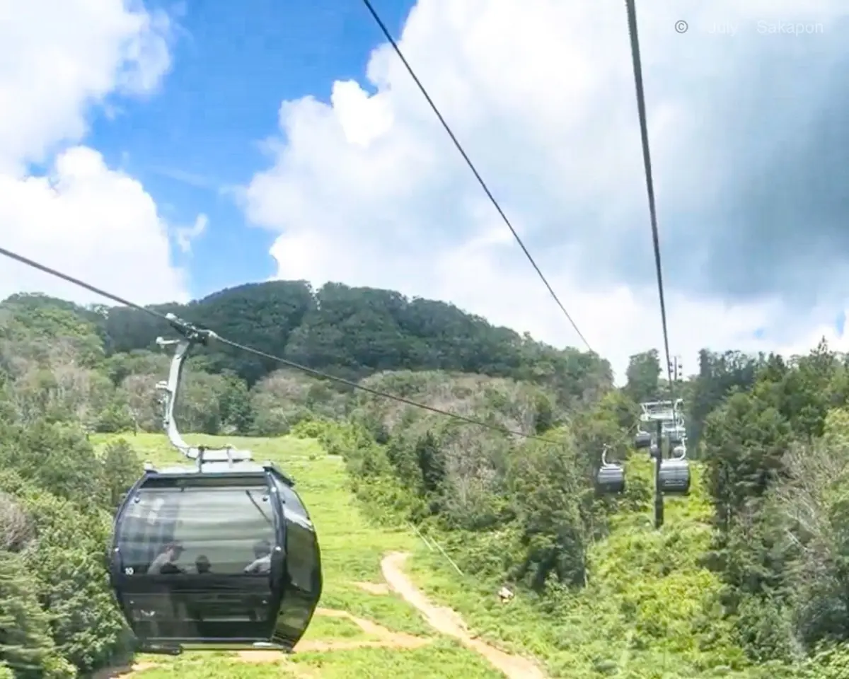山間の緑豊かな風景の中を走るゴンドラ式ケーブルカー。前方のゴンドラが山頂へ向かい、背後に他のゴンドラが並ぶ。青空と白い雲が広がる。