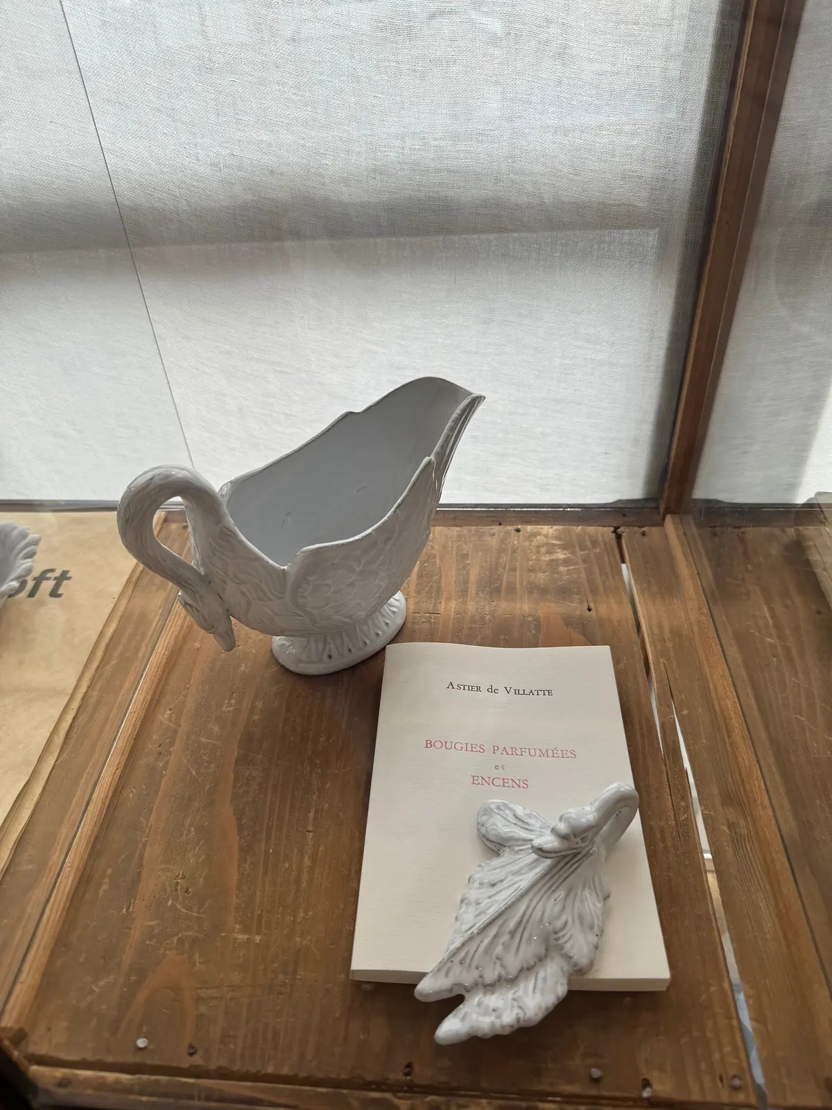 にゃんこに会いに、そして（ついでに）アフの画像_4