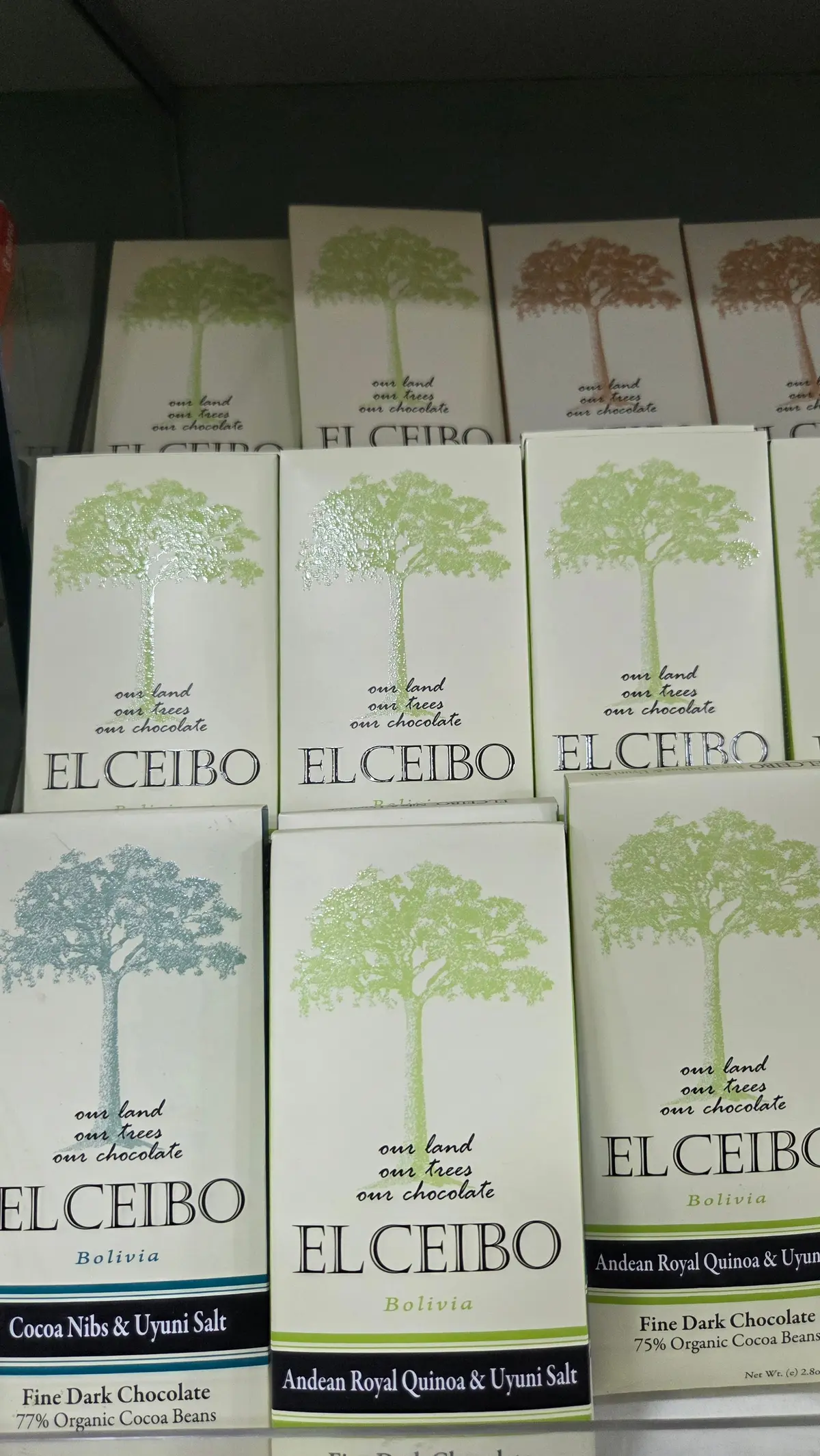 ボリビアの首都ラパス観光の画像_13