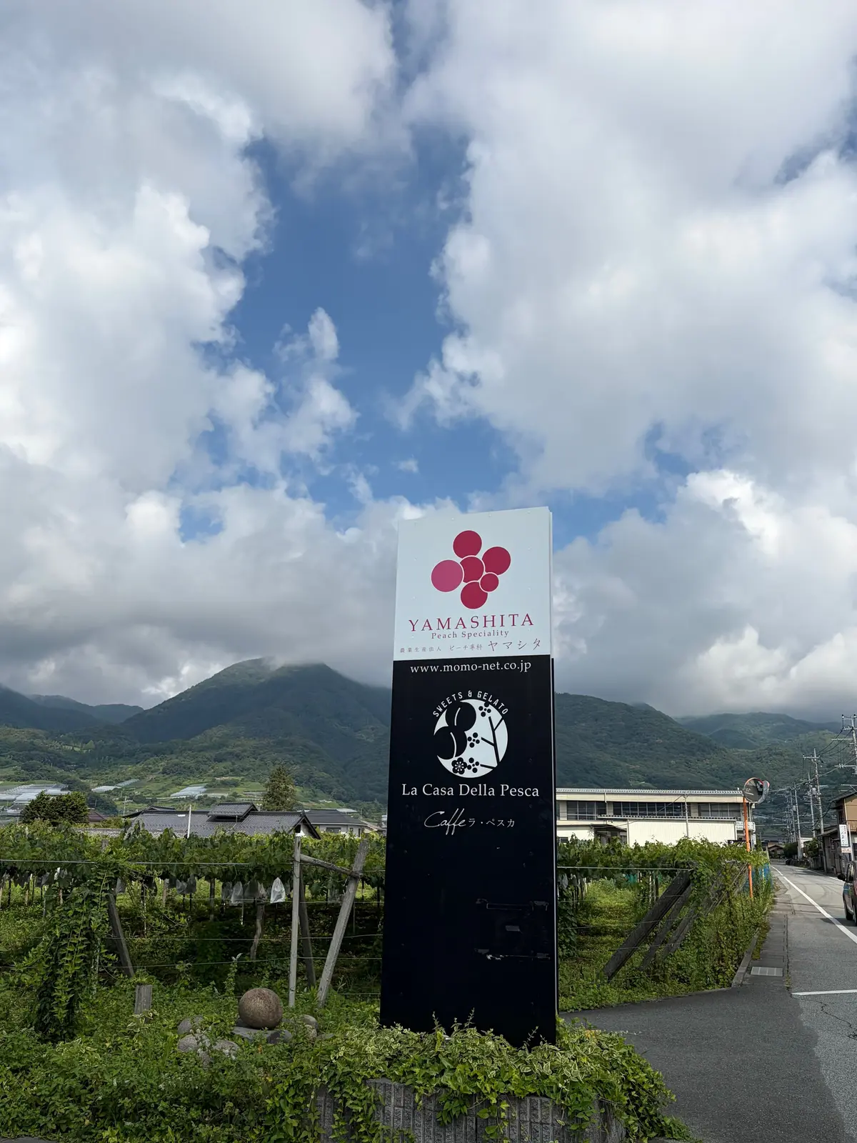 山梨県を象徴する桃のブランド「ヤマシタ」の看板と、背景の山々。看板は白地に赤い桃のイラスト、下にはイタリア語のカフェのロゴが配置されている。手前には桃畑が広がり、遠景には雲海に包まれた山々が連なる。