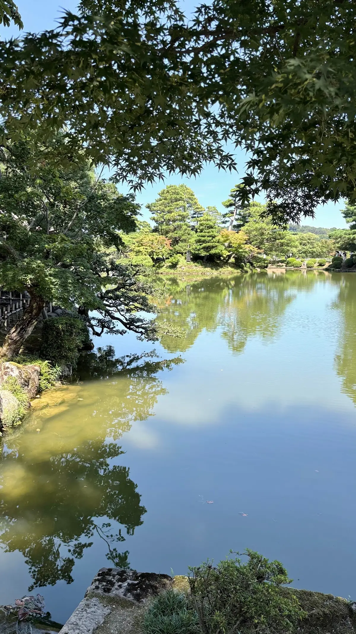 穏やかな水面が木々の緑と空を映し出す池。手前に石組みの縁があり、緑の植物が生い茂っている。背景には針葉樹林が広がる。