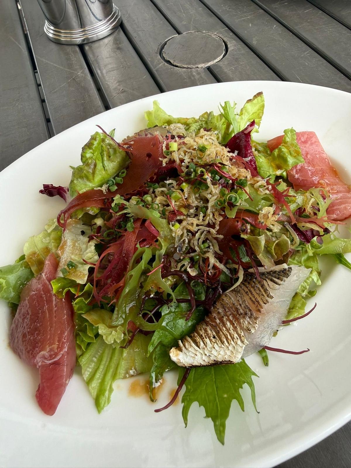 白い皿に盛り付けられた、赤身のマグロとサーモンの刺身、葉物野菜のサラダ。ネギやクリノームのトッピング、ドレッシングがかかっている。