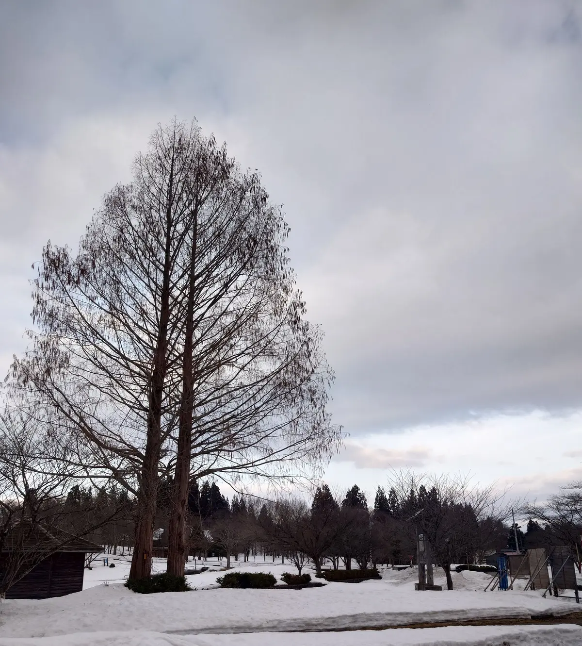 ユニクロメンズパーカーとニューエラキャップの雪解け景色