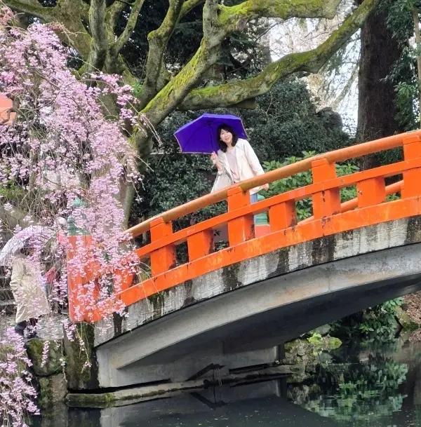 【富山・春旅】Vol.3雨の中「国宝・瑞の画像_6