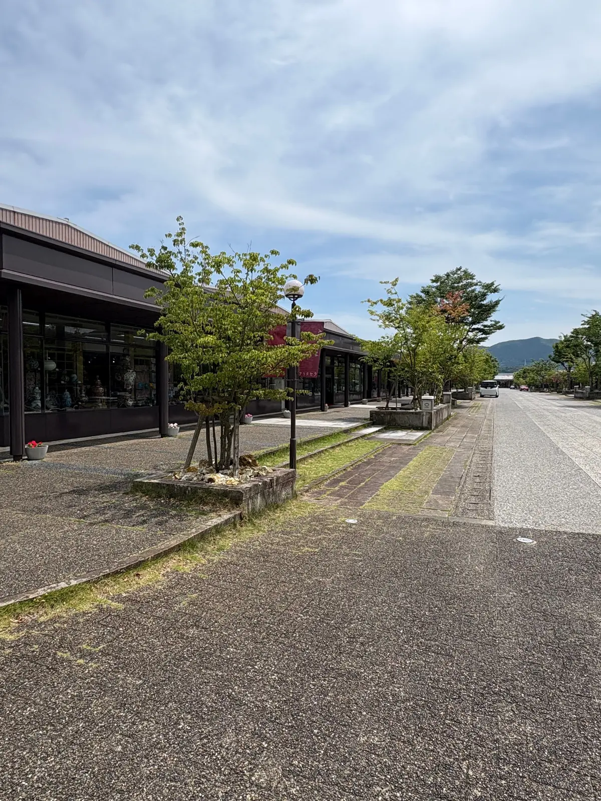 アスファルトの通り沿いに緑の木々が並び、左側に茶色い建物と窓のある店舗が並ぶ静かな通り