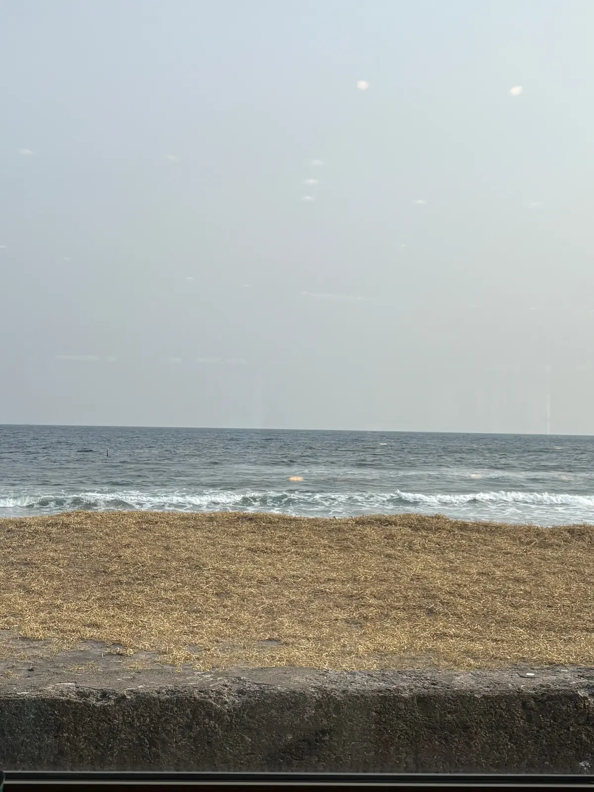 娘との二人旅行〜北海道　函館①〜の画像_3