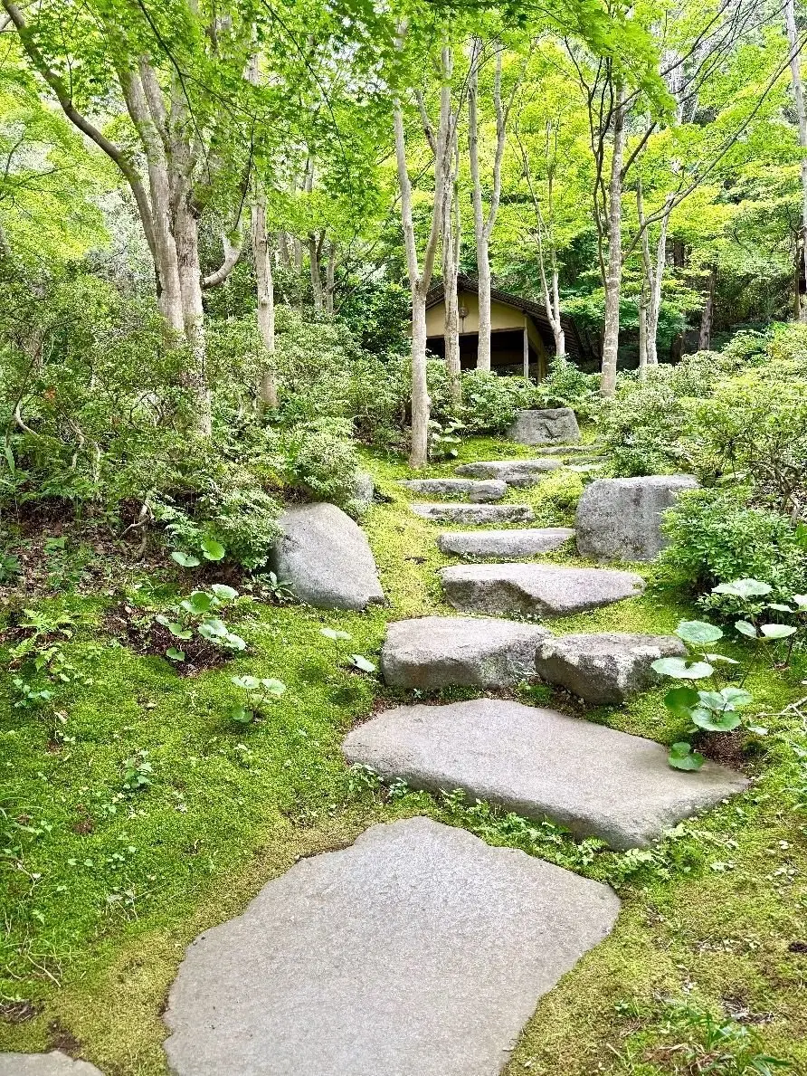 昭和記念公園、日本庭園、苔むした庭の石段が木々や低木に囲まれた静かな通路を形成している