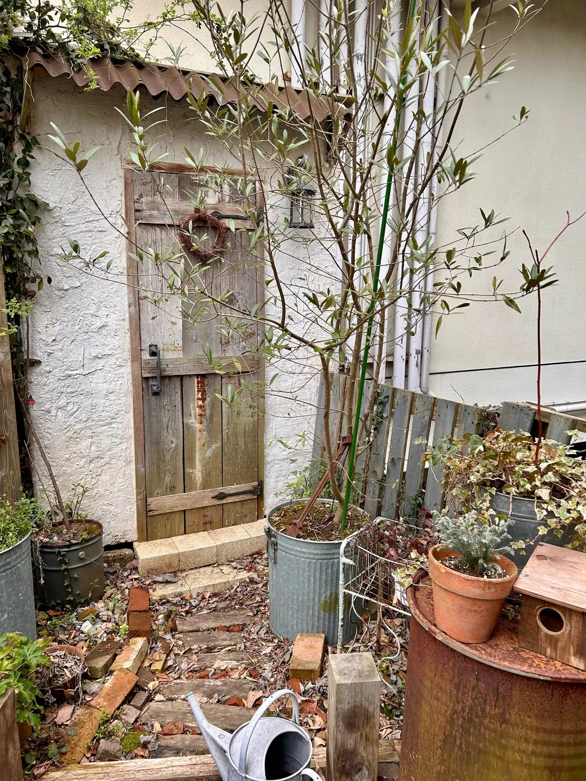 大山エリアの可愛い森のカフェへの画像_3